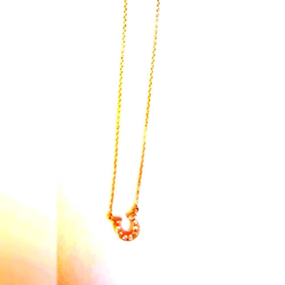 Horseshoe necklace